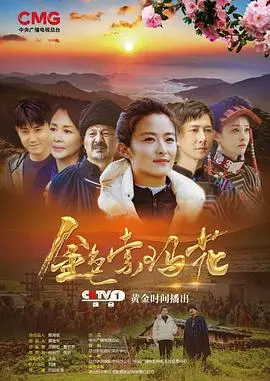 《金色索玛花》：温情治愈系！这朵“花”开在我心坎里了！